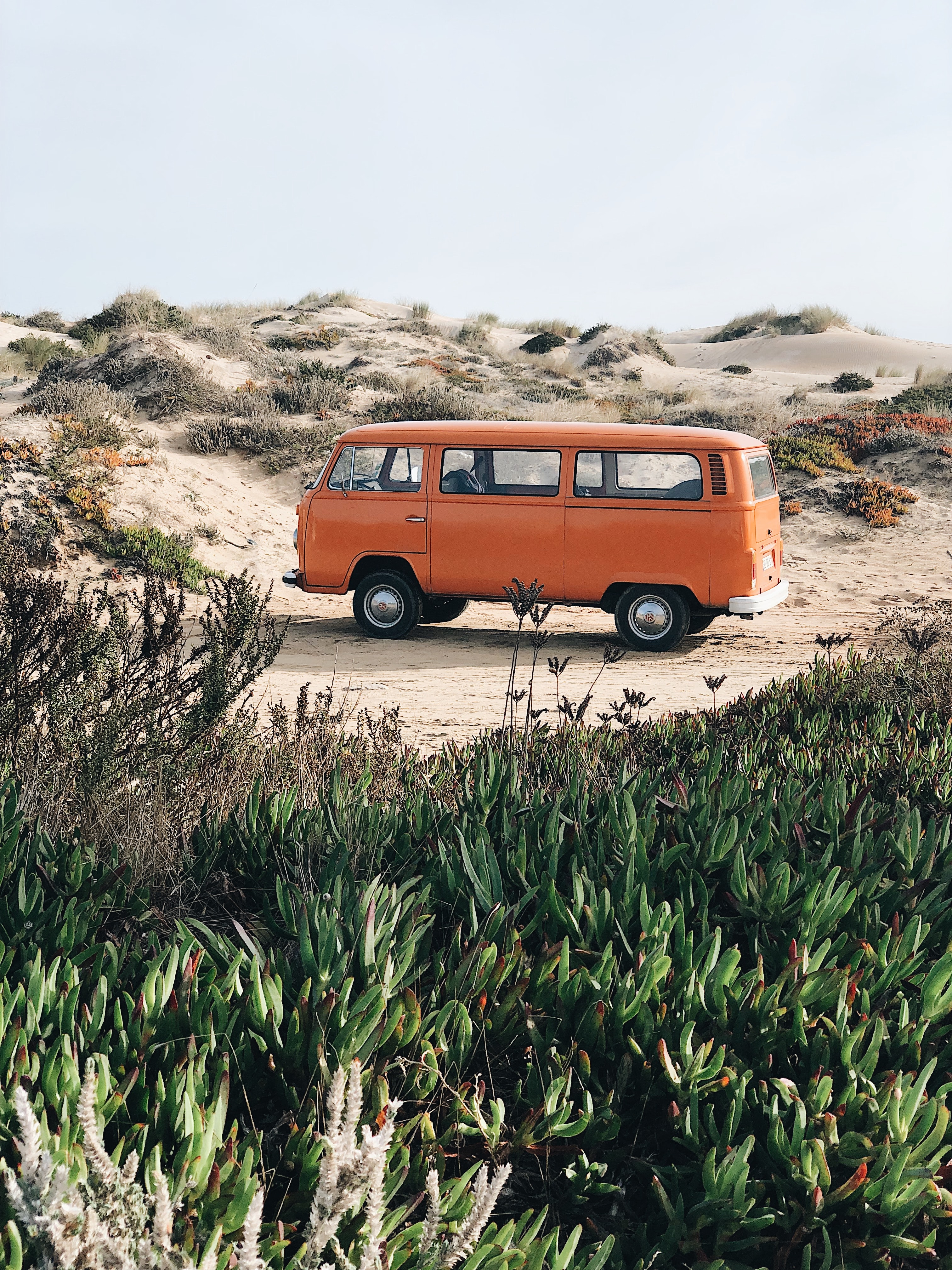 VW Bulli orange