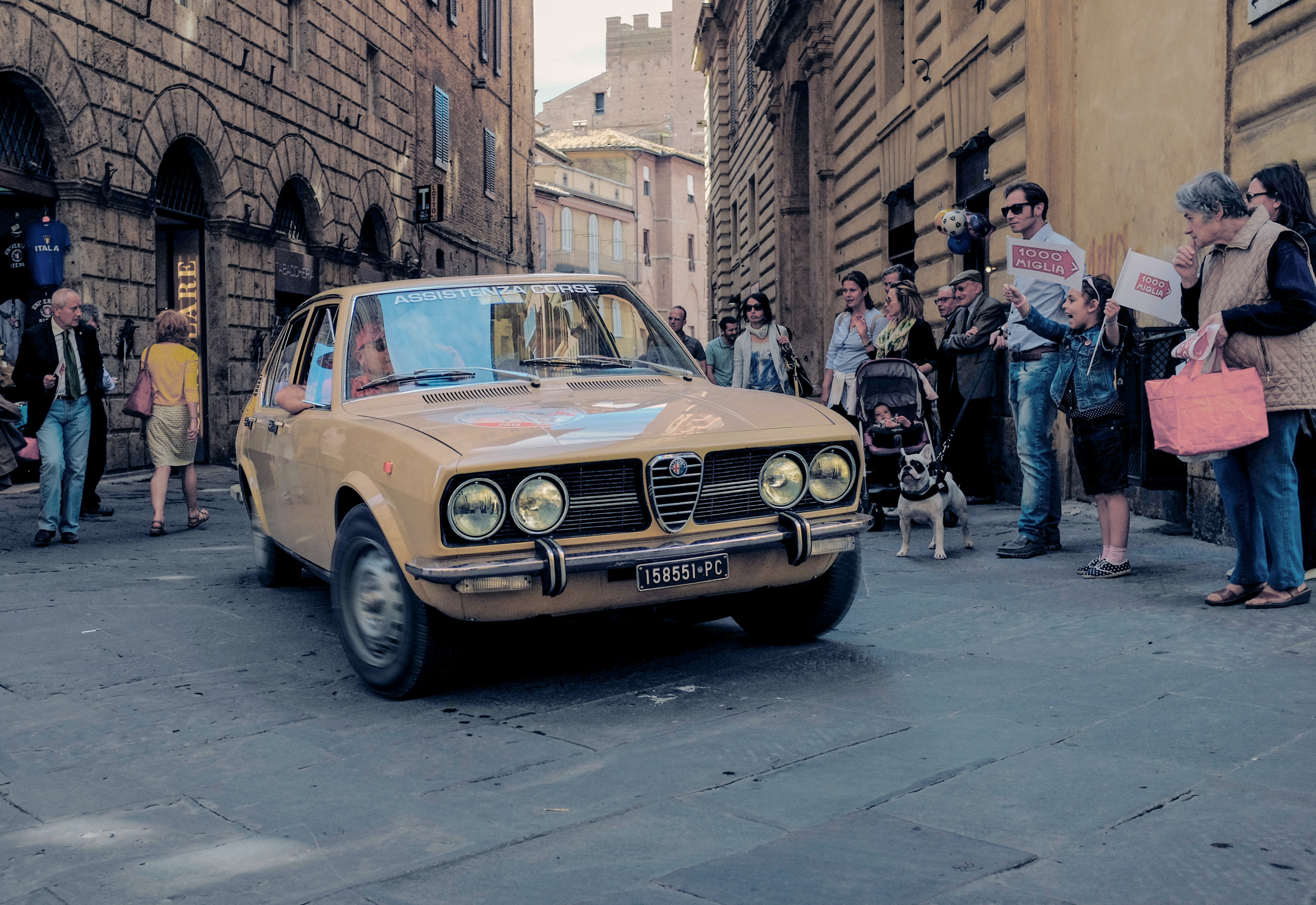 Alfa Bertone DE